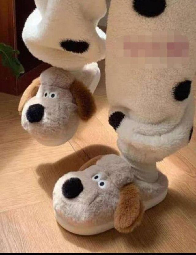 سابو فرو شكل كلب الوان